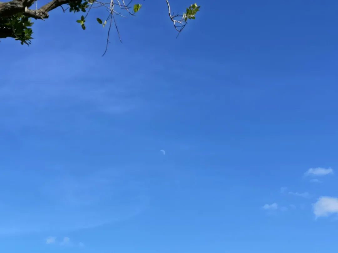 美国没那么糟,那是自媒体向中国人贩卖焦虑,呵呵