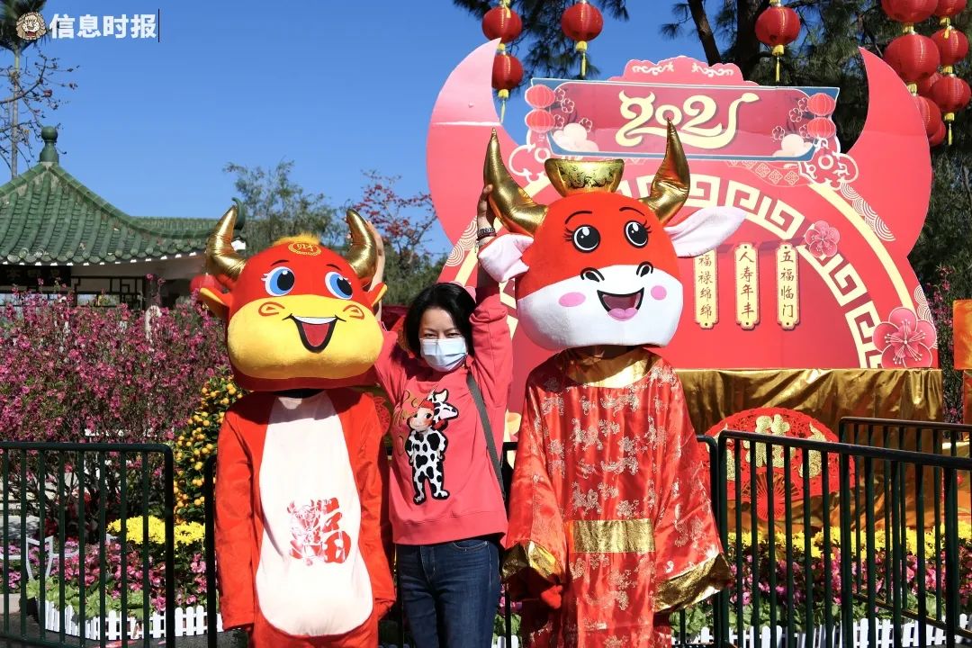 广州新年交通塞车吗,广州机场高速塞车现象