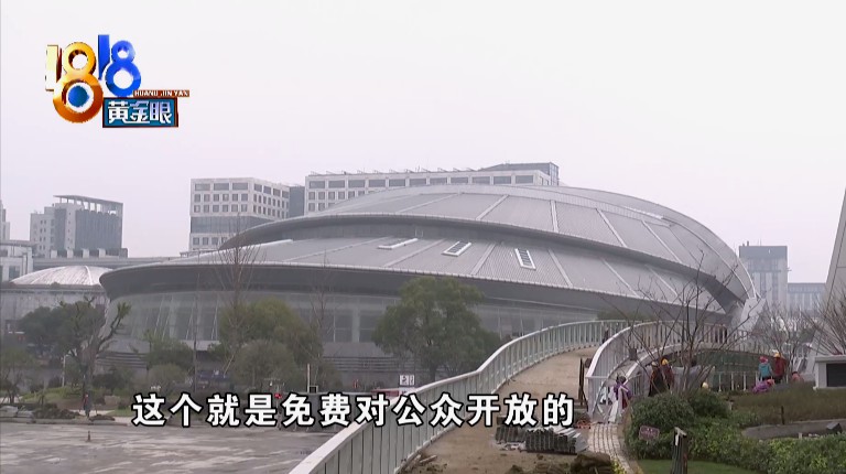 亚运会女足队员照片,亚运女子颜值天团