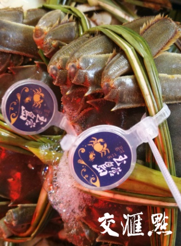 宿迁泗洪发展,宿迁泗洪发展怎么样