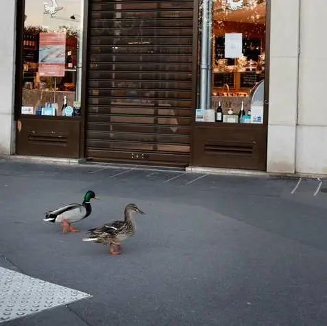 好莱坞拍了隔离期间的《史密斯夫妇》，他们盯上了全球顶奢百货里价值2700万的钻石