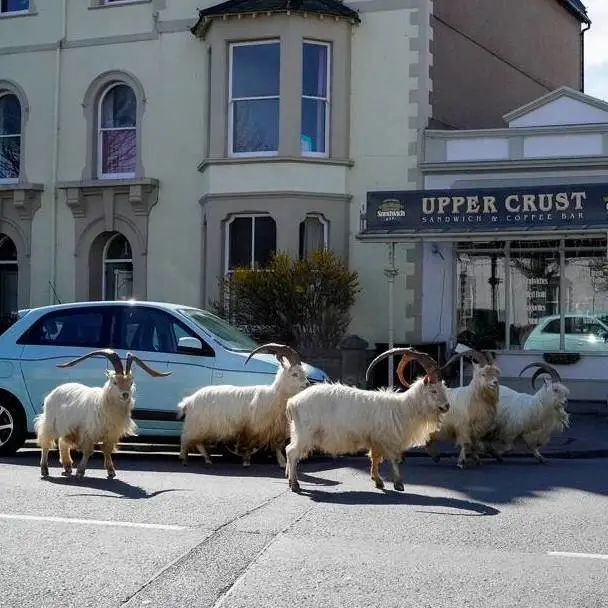 好莱坞拍了隔离期间的《史密斯夫妇》，他们盯上了全球顶奢百货里价值2700万的钻石