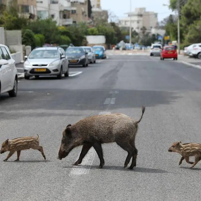 好莱坞拍了隔离期间的《史密斯夫妇》，他们盯上了全球顶奢百货里价值2700万的钻石