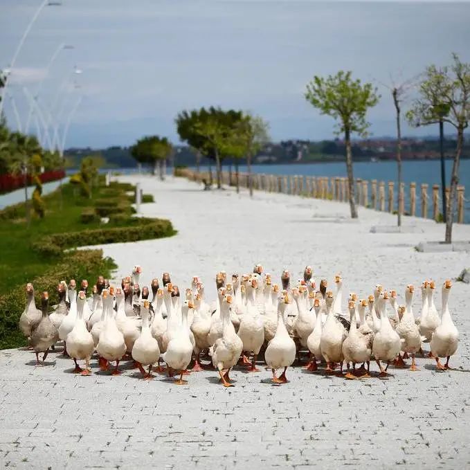 好莱坞拍了隔离期间的《史密斯夫妇》，他们盯上了全球顶奢百货里价值2700万的钻石
