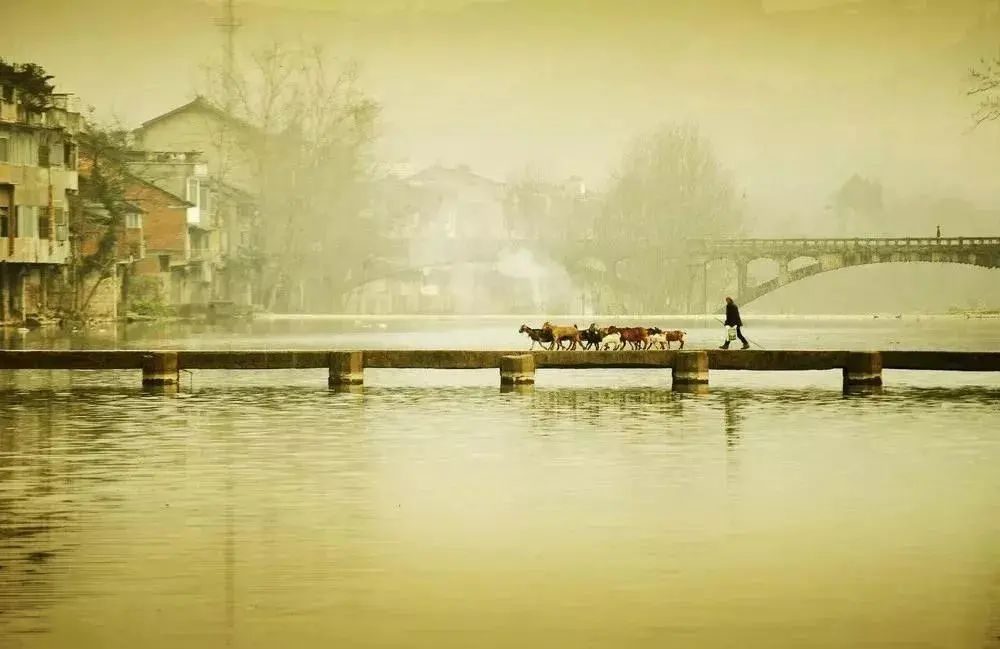 春节成都打卡旅游地,春节期间成都哪些地方值得一游