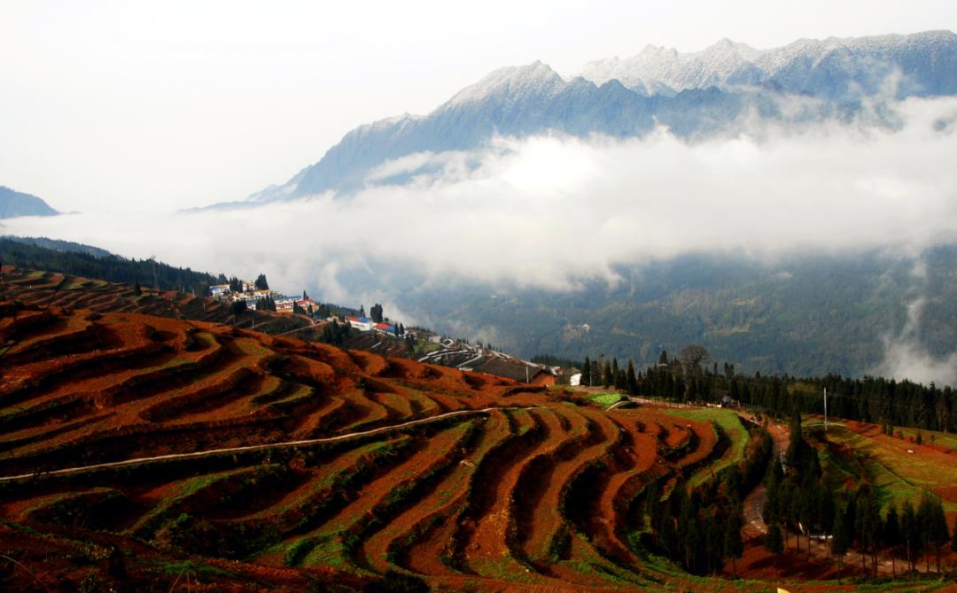 春节成都打卡旅游地,春节期间成都哪些地方值得一游