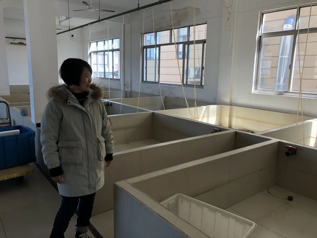 蟹贩子利润,蟹贩的利润