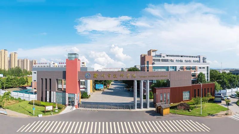 衢州市中专学校图片,衢州公办中专学校排名榜