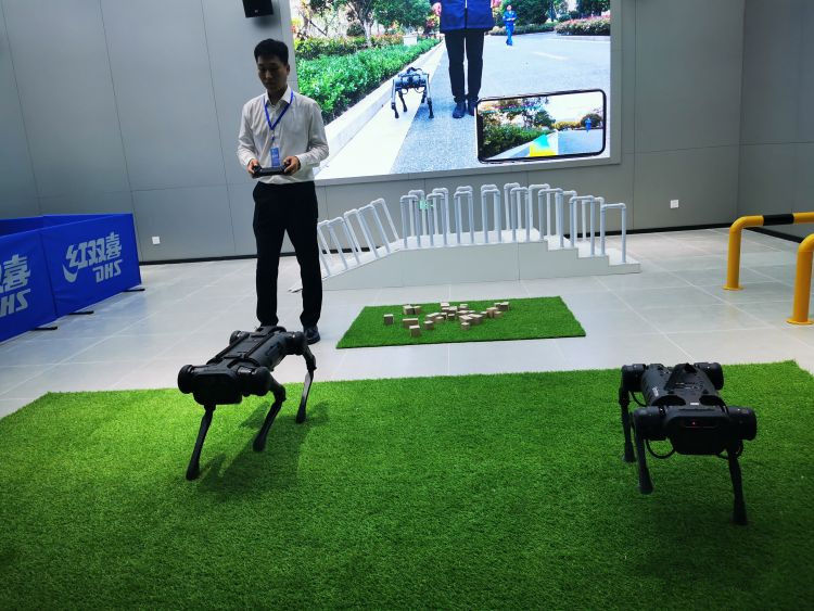 牛犇犇个人简介,上过春晚的牛犇