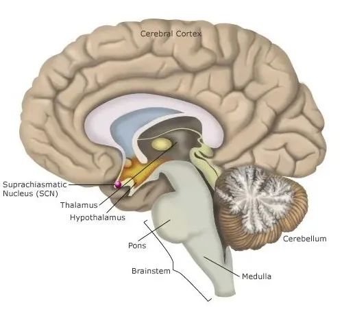 假期接近尾声如何快速调整状态,假期放慢0.5倍速