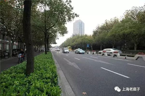 记忆虹桥,记忆虹桥路