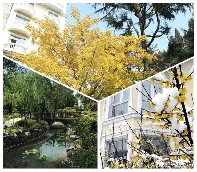 记忆虹桥,记忆虹桥路