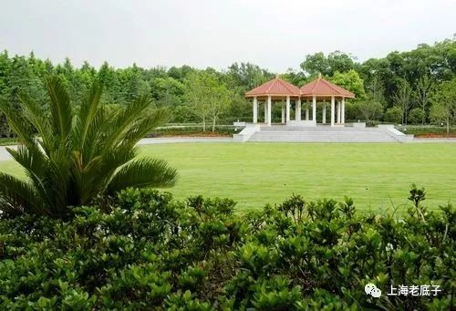 记忆虹桥,记忆虹桥路