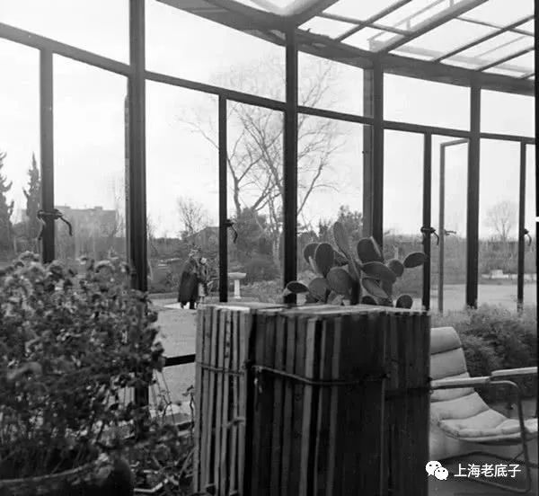 记忆虹桥,记忆虹桥路