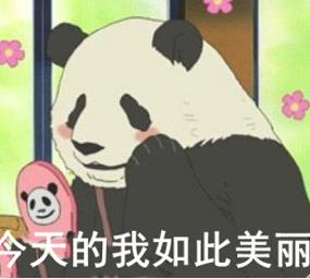 gucci又开始出爆款了,买了不后悔的gucci