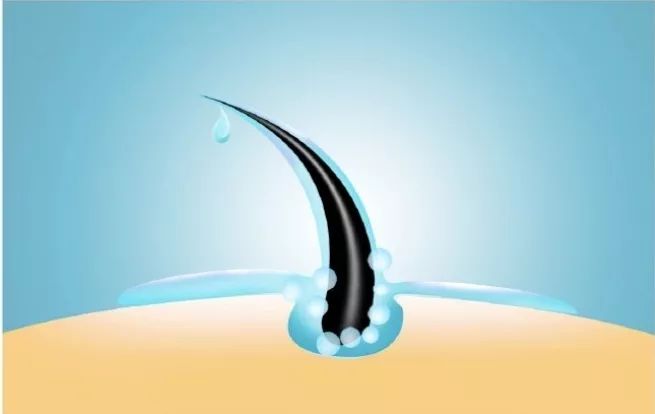 4周瘦20斤食谱,4周瘦30斤高效减脂餐