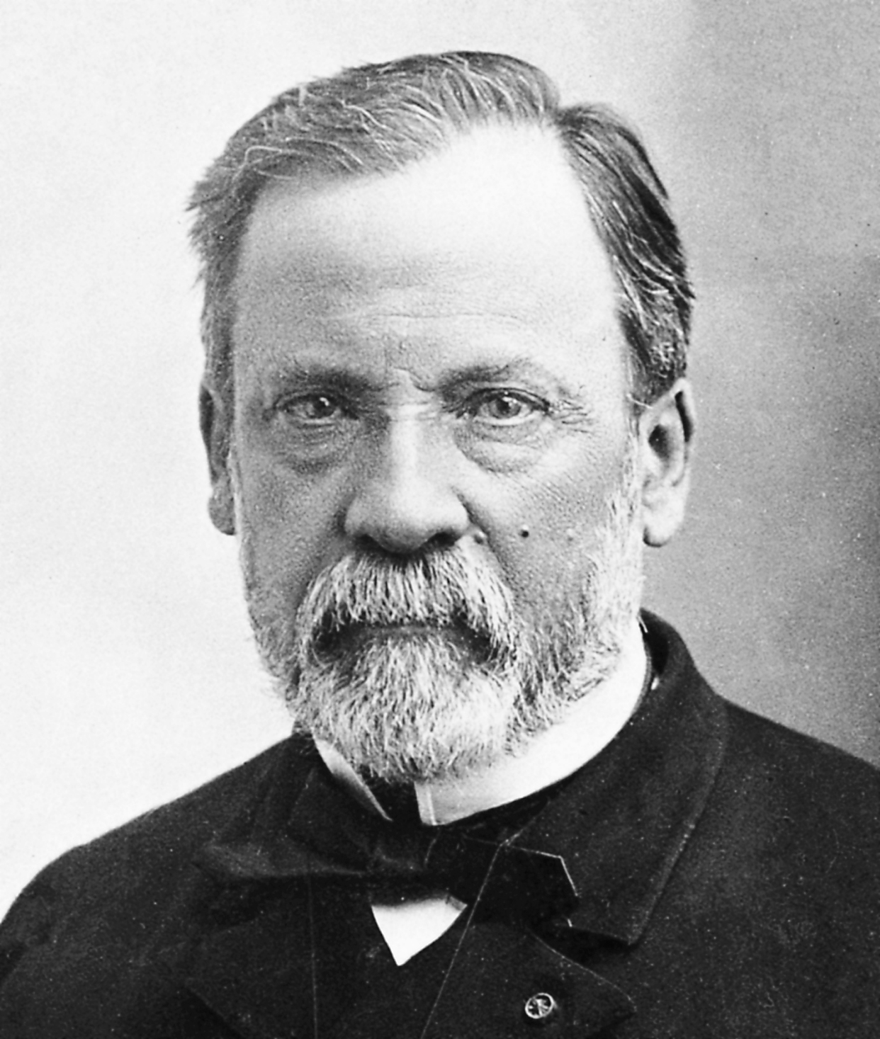 超级可怕的真菌,目前发现的真菌