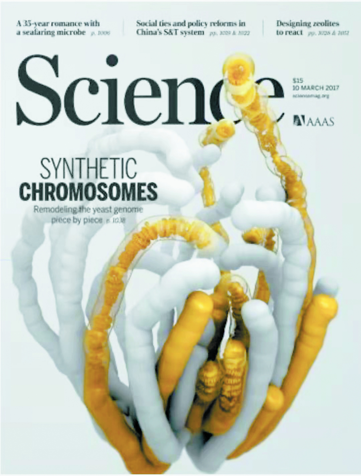 超级可怕的真菌,目前发现的真菌