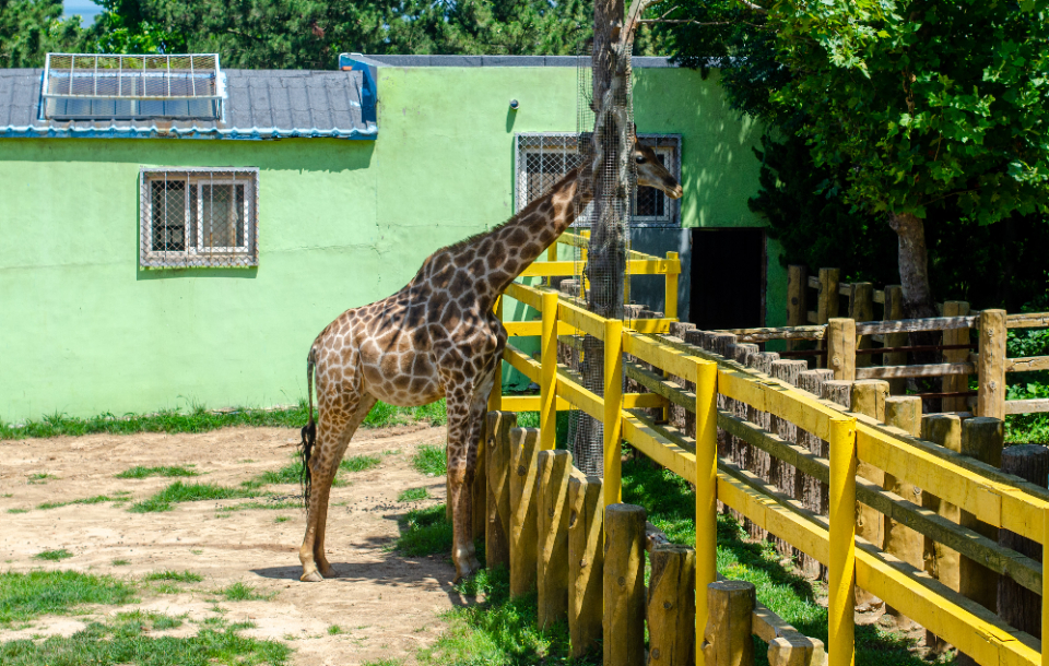 威海宝藏海岛旅游攻略,威海旅游打卡必须去的地方