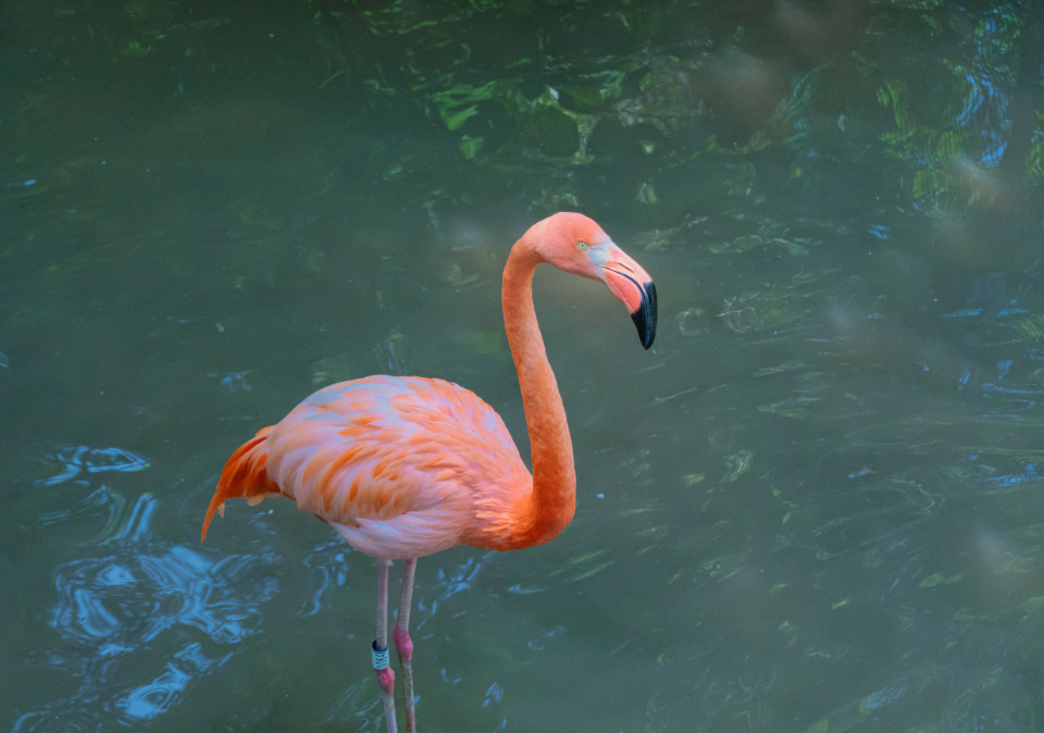 威海宝藏海岛旅游攻略,威海旅游打卡必须去的地方