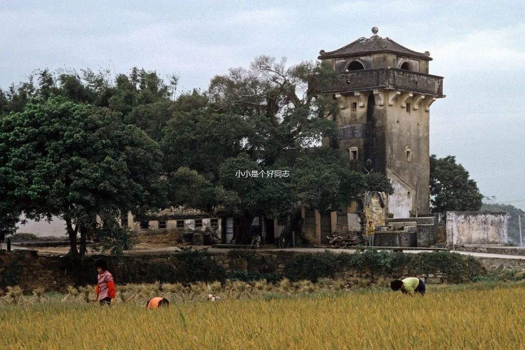 打卡宝藏县城,打卡宝藏