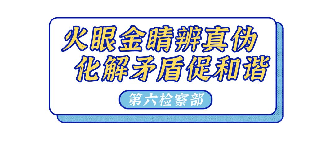 回顾与展望|第六检察部:火眼金睛辨真伪化解矛盾促和谐