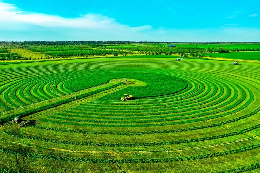 鍙や粖杈夋槧瀹屾暣瑙嗛,鍙や粖浜ょ浉杈夋槧