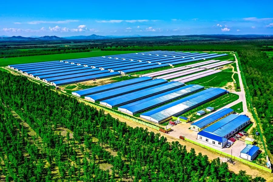 鍙や粖杈夋槧瀹屾暣瑙嗛,鍙や粖浜ょ浉杈夋槧