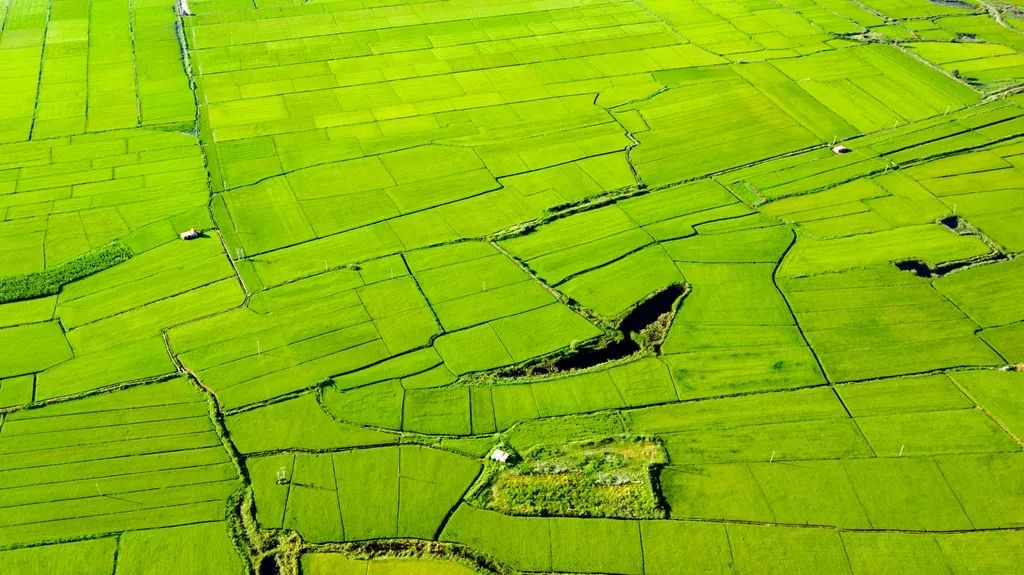 鍙や粖杈夋槧瀹屾暣瑙嗛,鍙や粖浜ょ浉杈夋槧