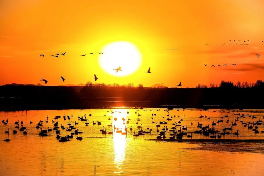 鍙や粖杈夋槧瀹屾暣瑙嗛,鍙や粖浜ょ浉杈夋槧