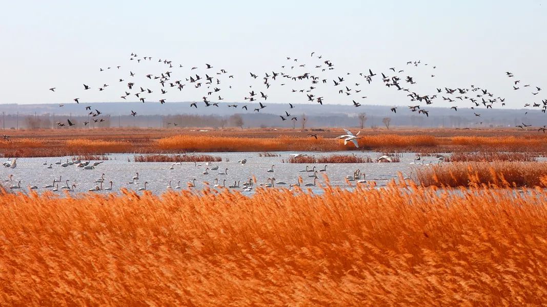 鍙や粖杈夋槧瀹屾暣瑙嗛,鍙や粖浜ょ浉杈夋槧