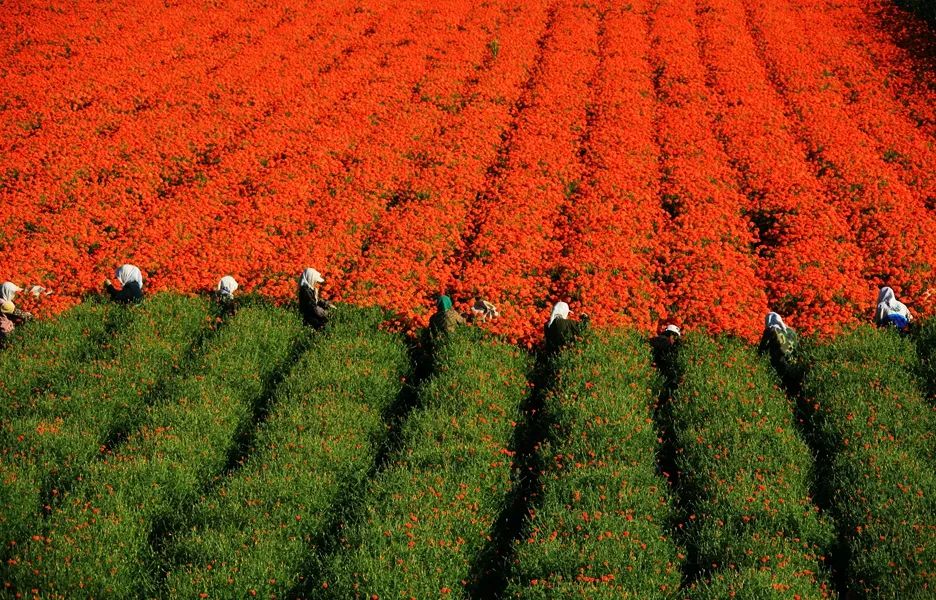 鍙や粖杈夋槧瀹屾暣瑙嗛,鍙や粖浜ょ浉杈夋槧