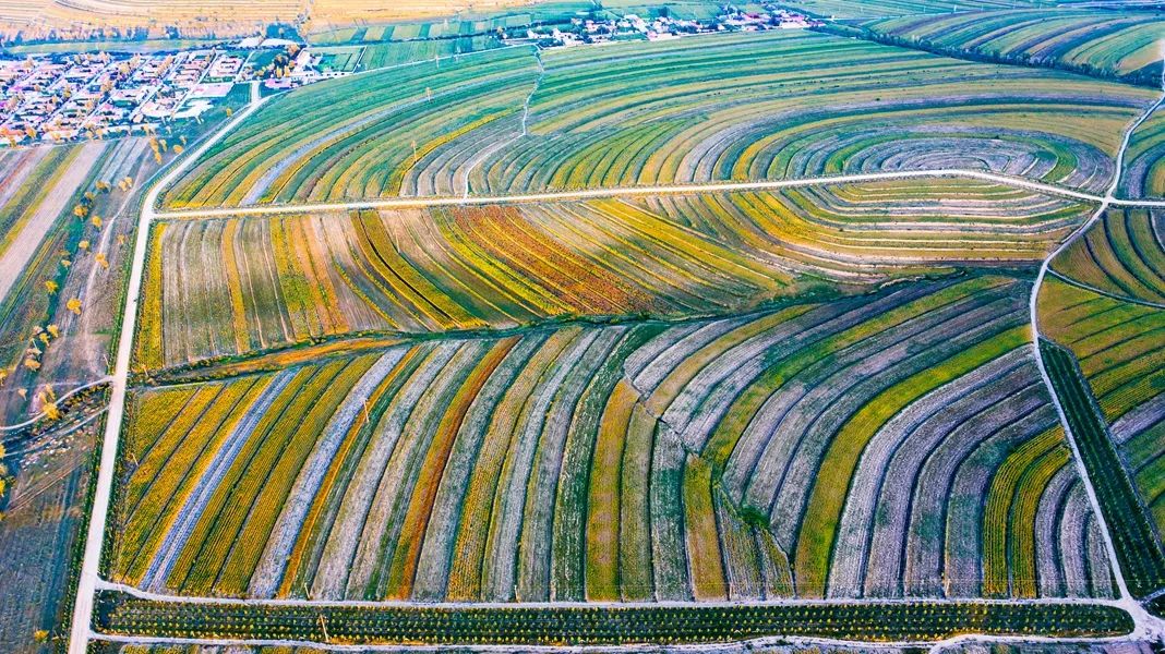 鍙や粖杈夋槧瀹屾暣瑙嗛,鍙や粖浜ょ浉杈夋槧
