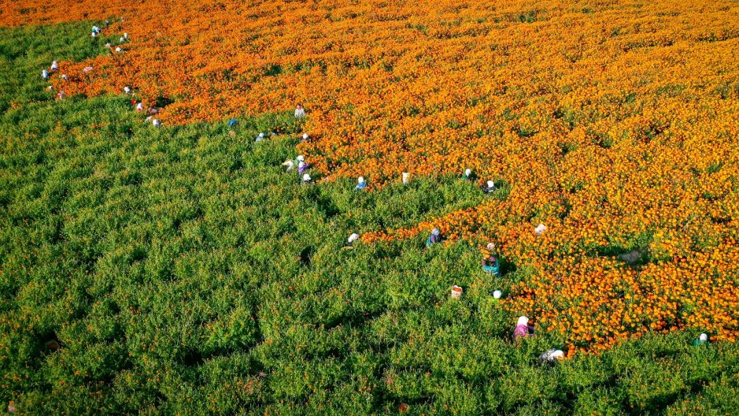 鍙や粖杈夋槧瀹屾暣瑙嗛,鍙や粖浜ょ浉杈夋槧