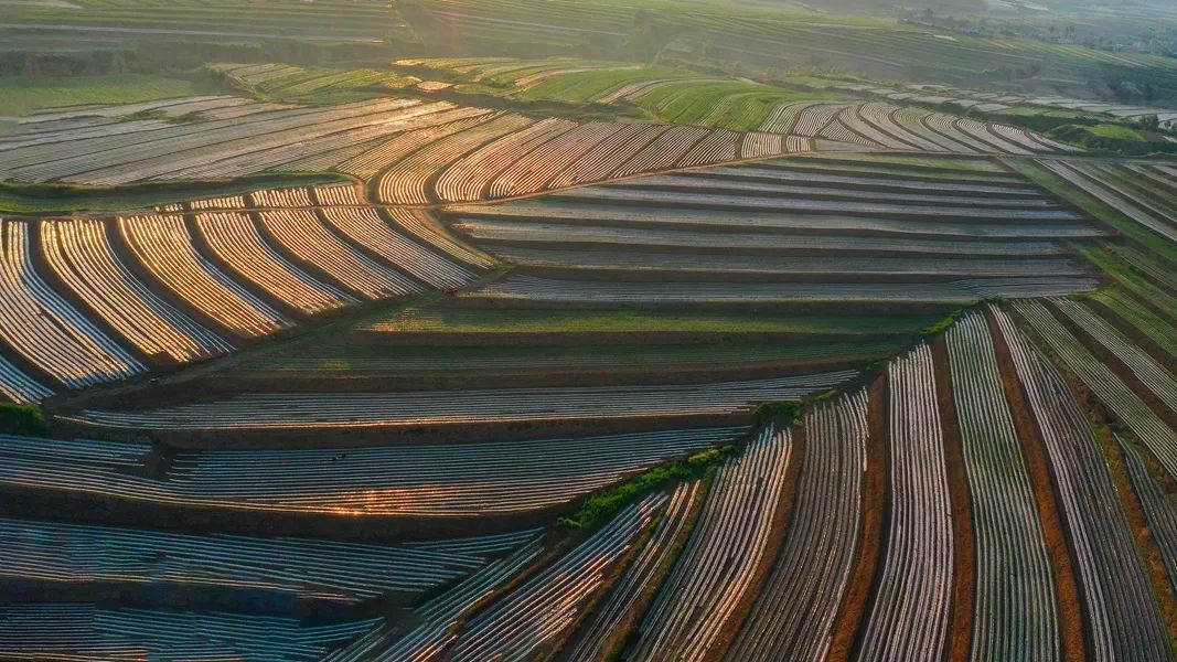 鍙や粖杈夋槧瀹屾暣瑙嗛,鍙や粖浜ょ浉杈夋槧
