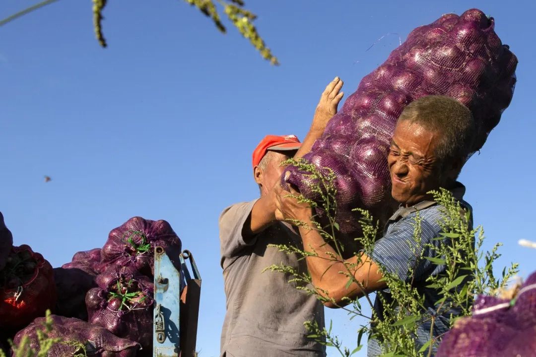 鍙や粖杈夋槧瀹屾暣瑙嗛,鍙や粖浜ょ浉杈夋槧