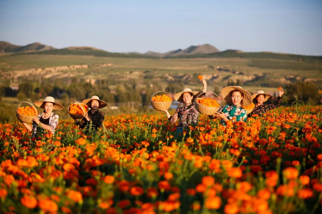 鍙や粖杈夋槧瀹屾暣瑙嗛,鍙や粖浜ょ浉杈夋槧