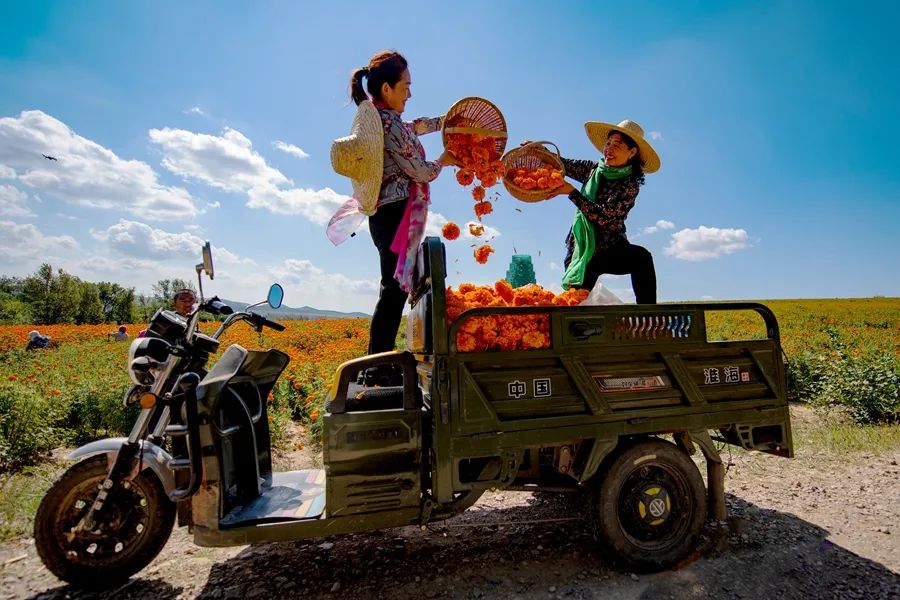 鍙や粖杈夋槧瀹屾暣瑙嗛,鍙や粖浜ょ浉杈夋槧