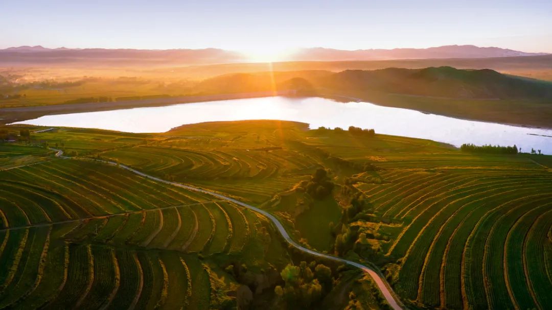 鍙や粖杈夋槧瀹屾暣瑙嗛,鍙や粖浜ょ浉杈夋槧