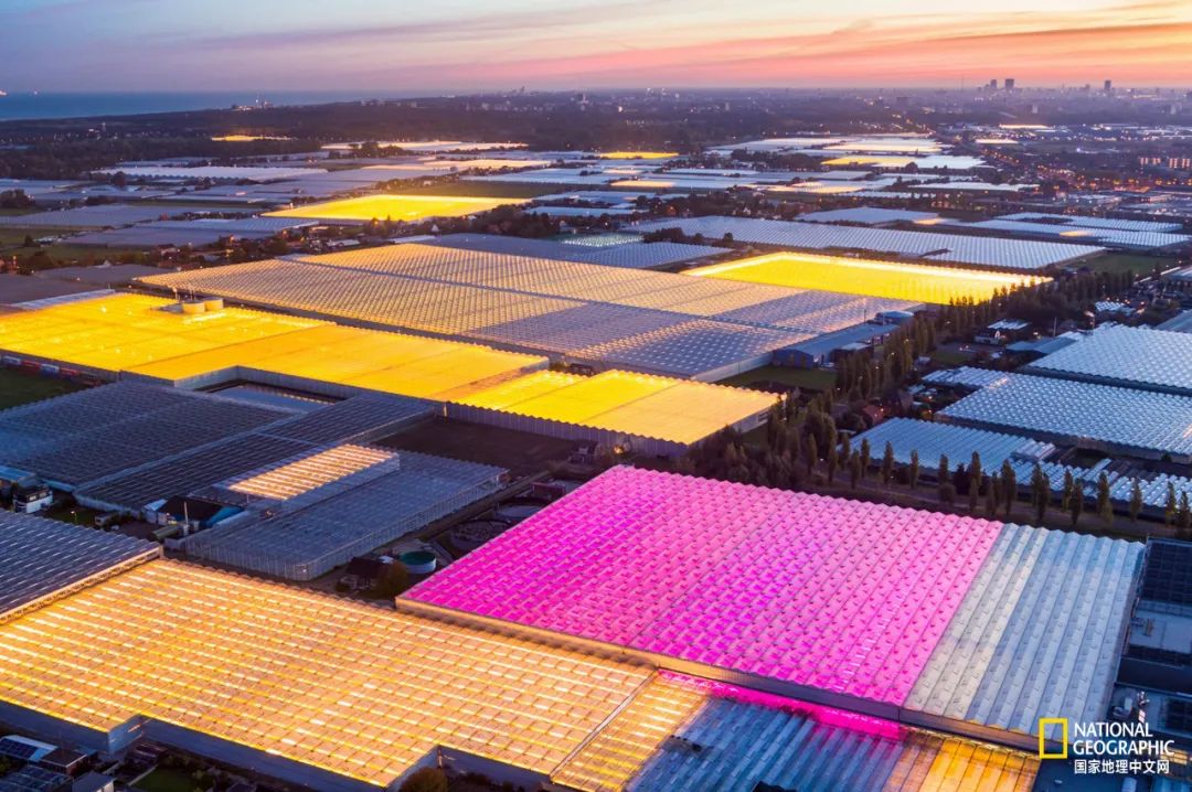 如果你是上帝,现在你是上帝2