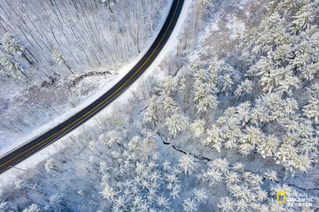 如果你是上帝,现在你是上帝2