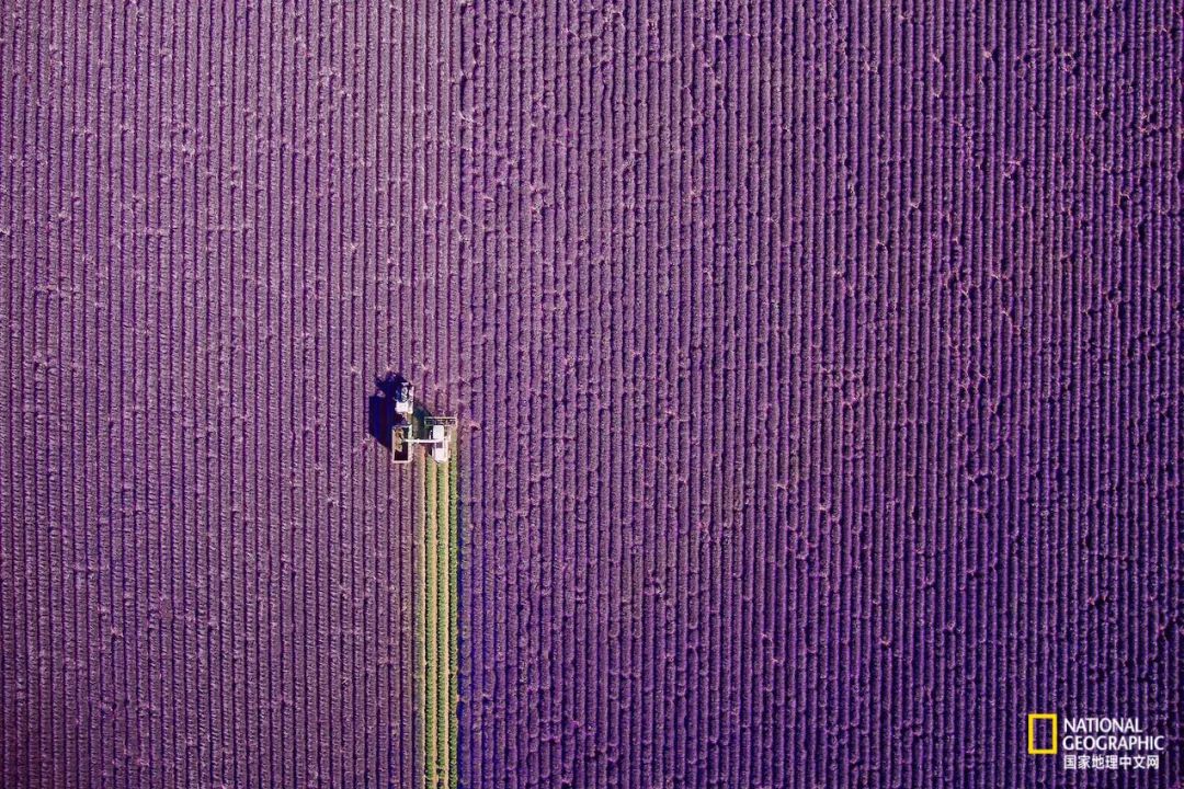 如果你是上帝,现在你是上帝2