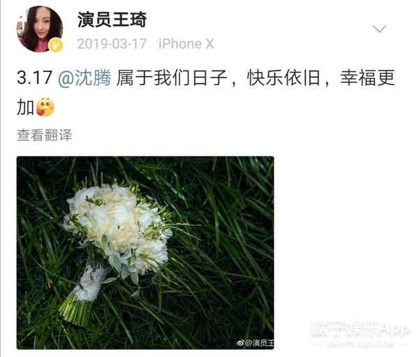 沈腾老婆评论区不堪入目，被骂拆伙沈马内涵马丽，cp粉清醒点吧