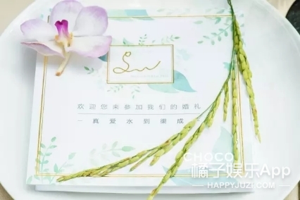 沈腾老婆评论区不堪入目，被骂拆伙沈马内涵马丽，cp粉清醒点吧