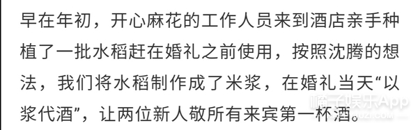 沈腾老婆评论区不堪入目，被骂拆伙沈马内涵马丽，cp粉清醒点吧