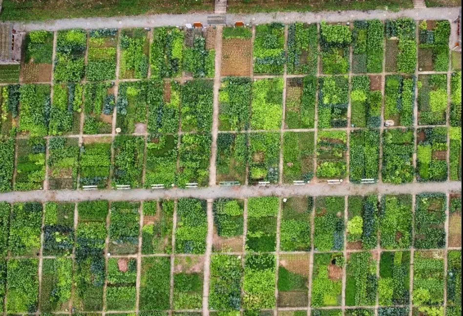 幸福社区服务理念,幸福社区居家养老服务