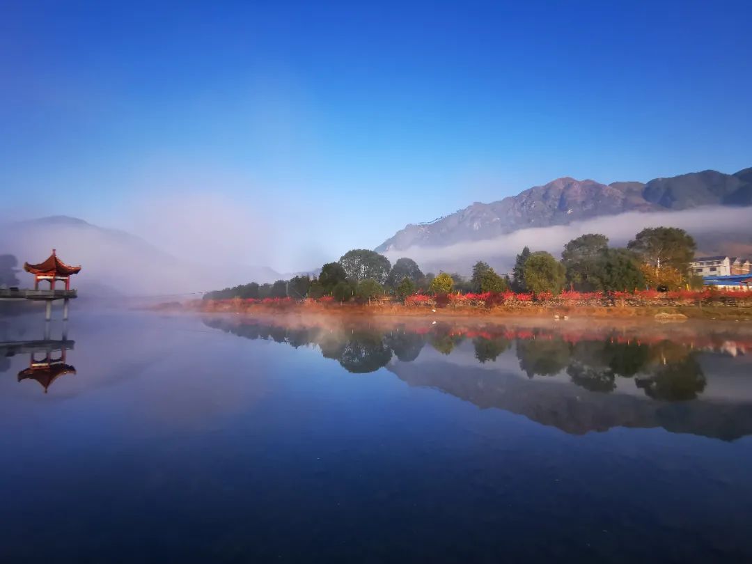 打卡好西乡！桃花胜*光春**，佳人已成双