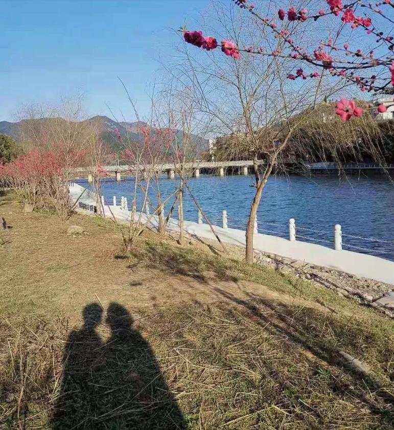 打卡好西乡！桃花胜*光春**，佳人已成双