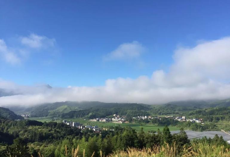 打卡好西乡！桃花胜*光春**，佳人已成双