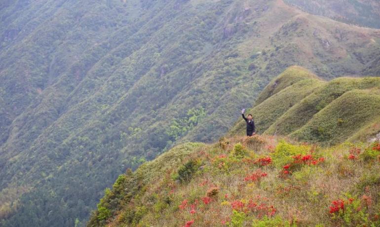 打卡好西乡！桃花胜*光春**，佳人已成双